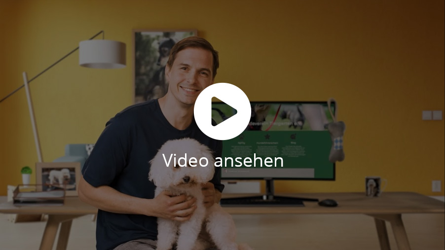 Video Vorschaubild