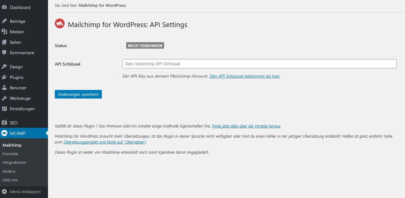 API-Key-Eingabe für den WordPress-Newsletter von MailChimp