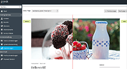 Plesk Smart Udates-Screen