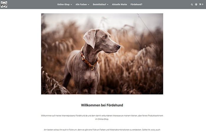 Website mit grauem Hund