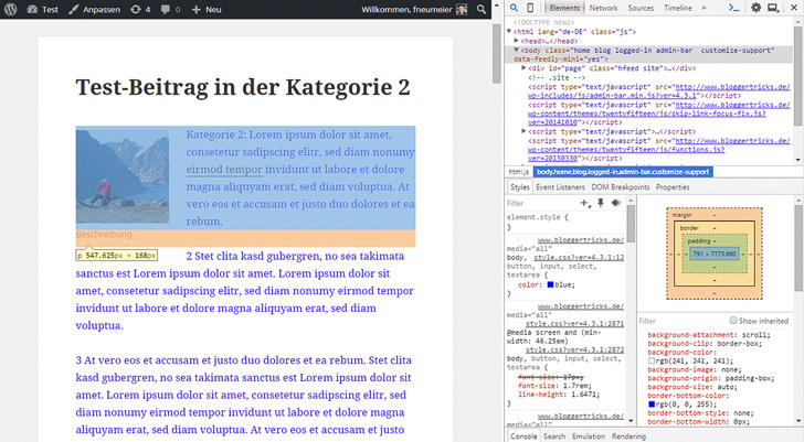 Analyse-Werkzeuge wie die Entwicklertools in Googles Chrome-Browser helfen bei der Fehlersuche.