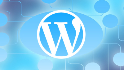 Domain Mapping mit WordPress Multisite