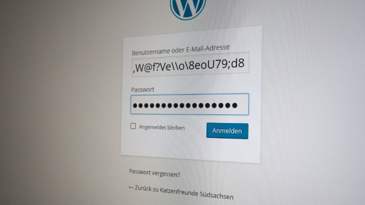 WordPress für Einsteiger: Muss der Admin “admin” sein?