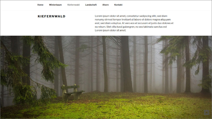Wordpress twenty seventeen parallax