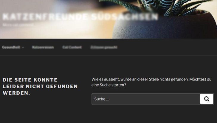 typische-wordpress-fehler-beheben-404-fehler