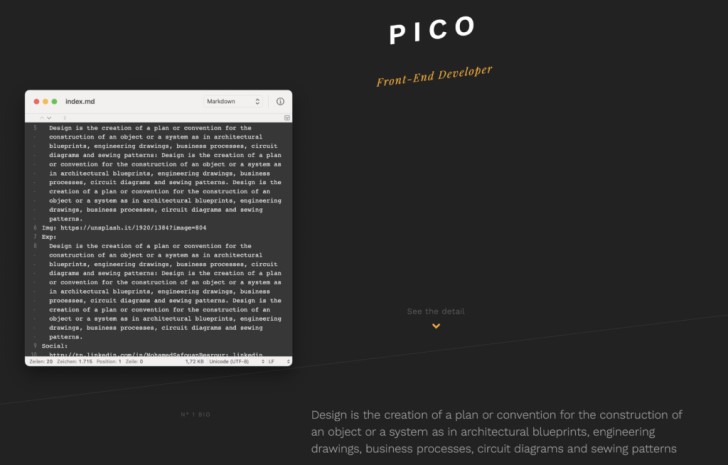 Screenshot von der Nutzeroberfläche von Pico.