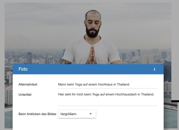 Screenshot: Alternativtexte, Untertitel und weitere Optionen für Bilder im Strato Homepage-Baukasten