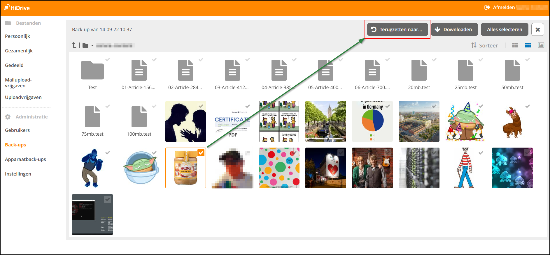 hidrive-backupcontrol-8_nl.png hidrive-backupcontrol-8_nl.png