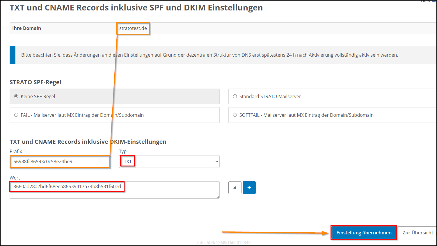 dns txt praefix