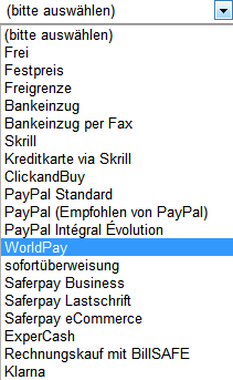 Alle Infos zu WorldPay-1.png
