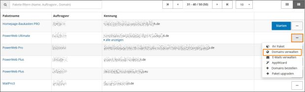 Informationen der Domainübersicht-1.jpg