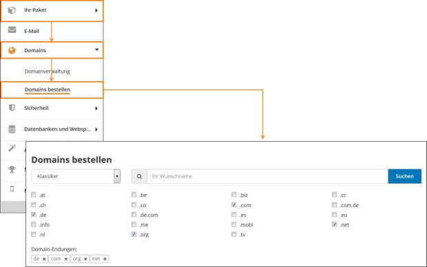 Informationen der Domainübersicht-4.jpg