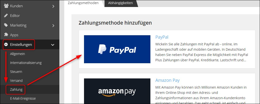 Webshop Now PayPal /PayPal Plus-1.png