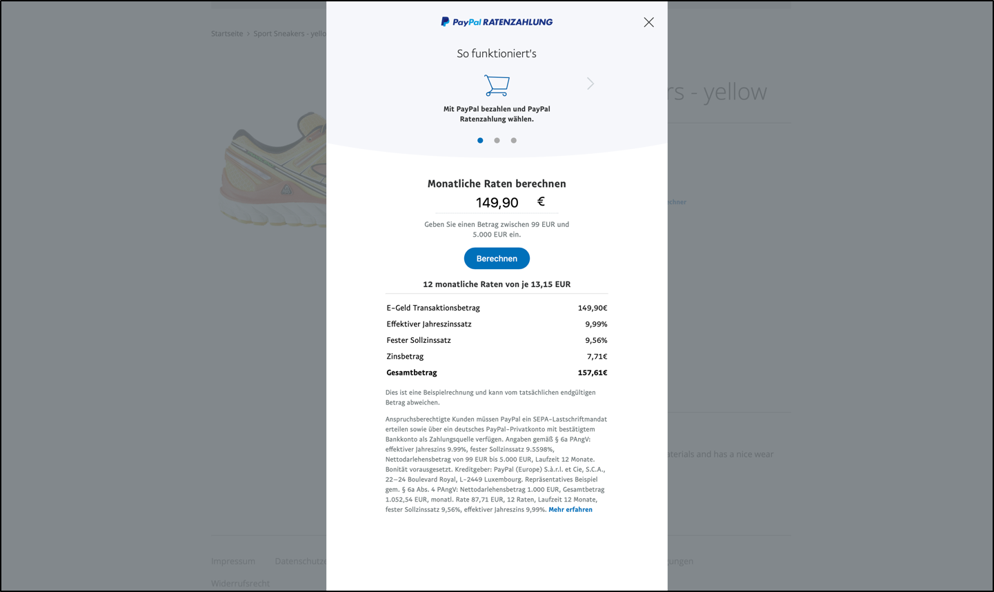 Webshop Now PayPal /PayPal Plus-3.png