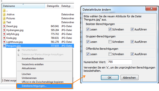 CHMOD mit Filezilla �ndern-3.png