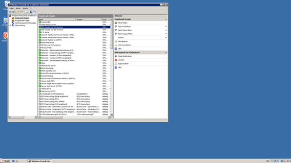 DNS in Plesk deaktivieren-2.png
