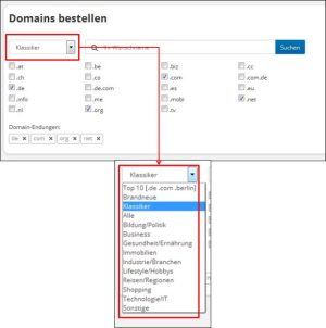 Bestellung von Zusatzdomains-2.png