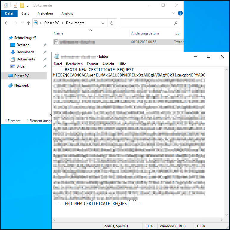 Windows - CSR aufrufen Windows - CSR aufrufen
