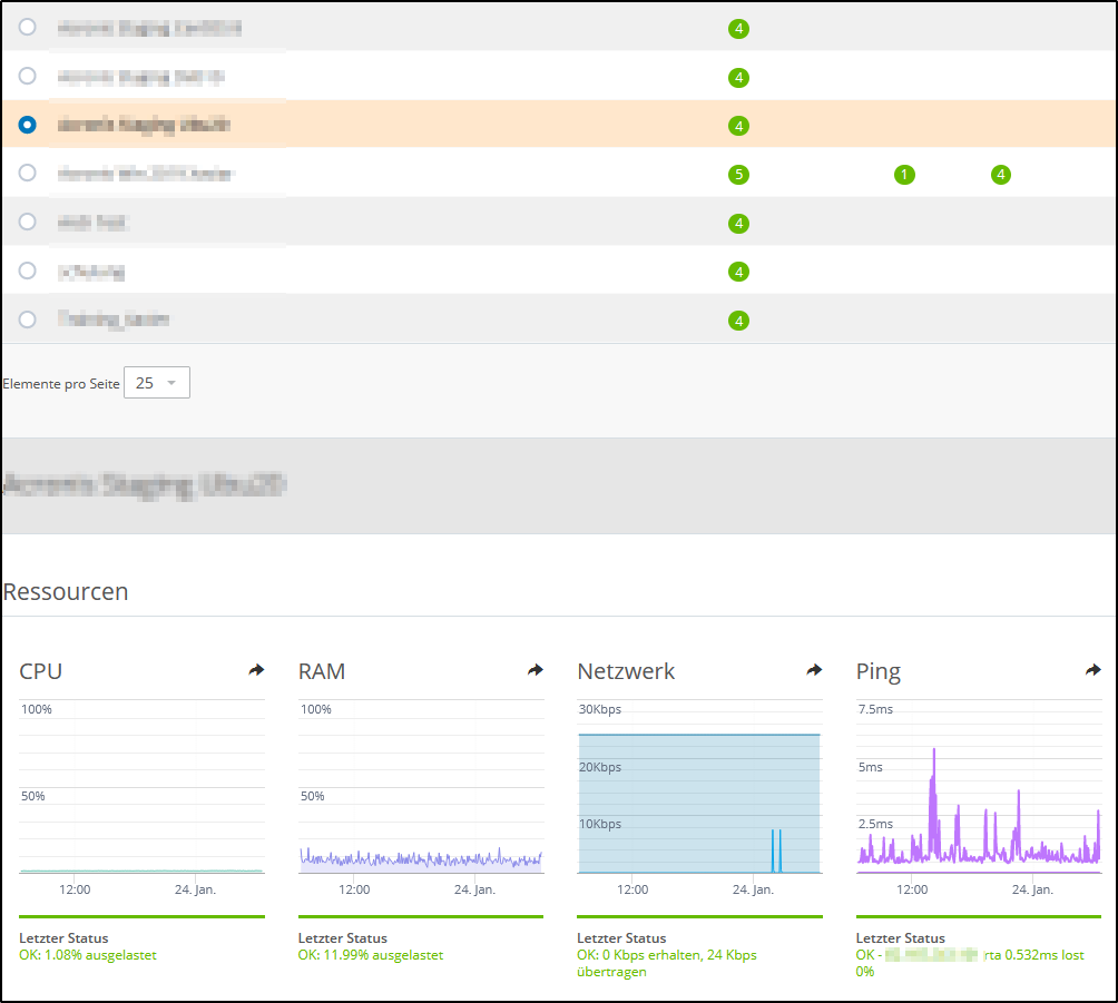 Monitoring im Cloud Panel Monitoring im Cloud Panel