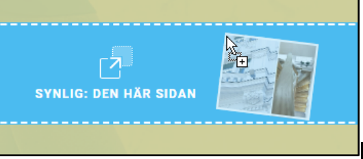 synlig synlig