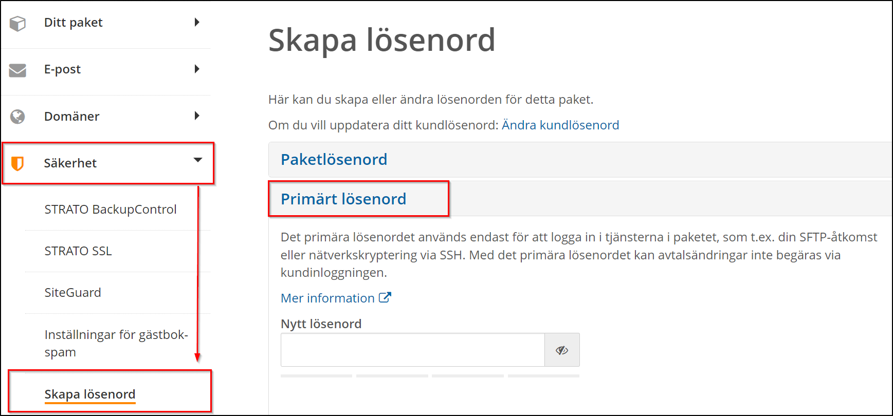 Primärt lösenord Primärt lösenord