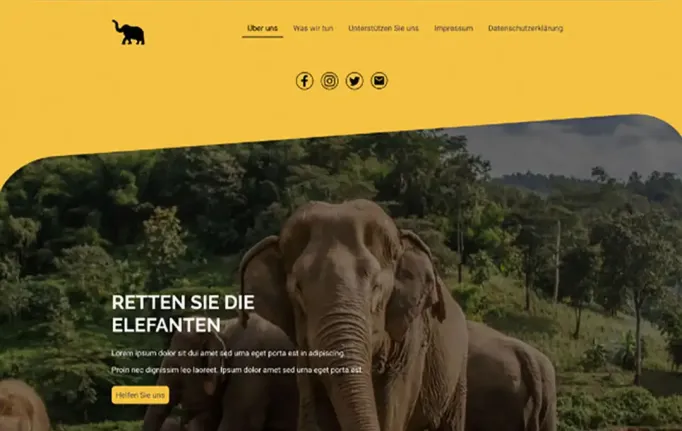 Preview: NGO Zoo Website
