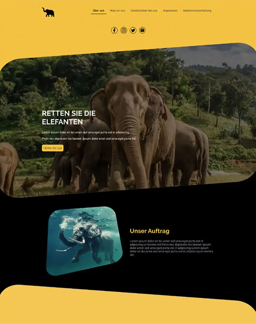 Preview: NGO Zoo Website